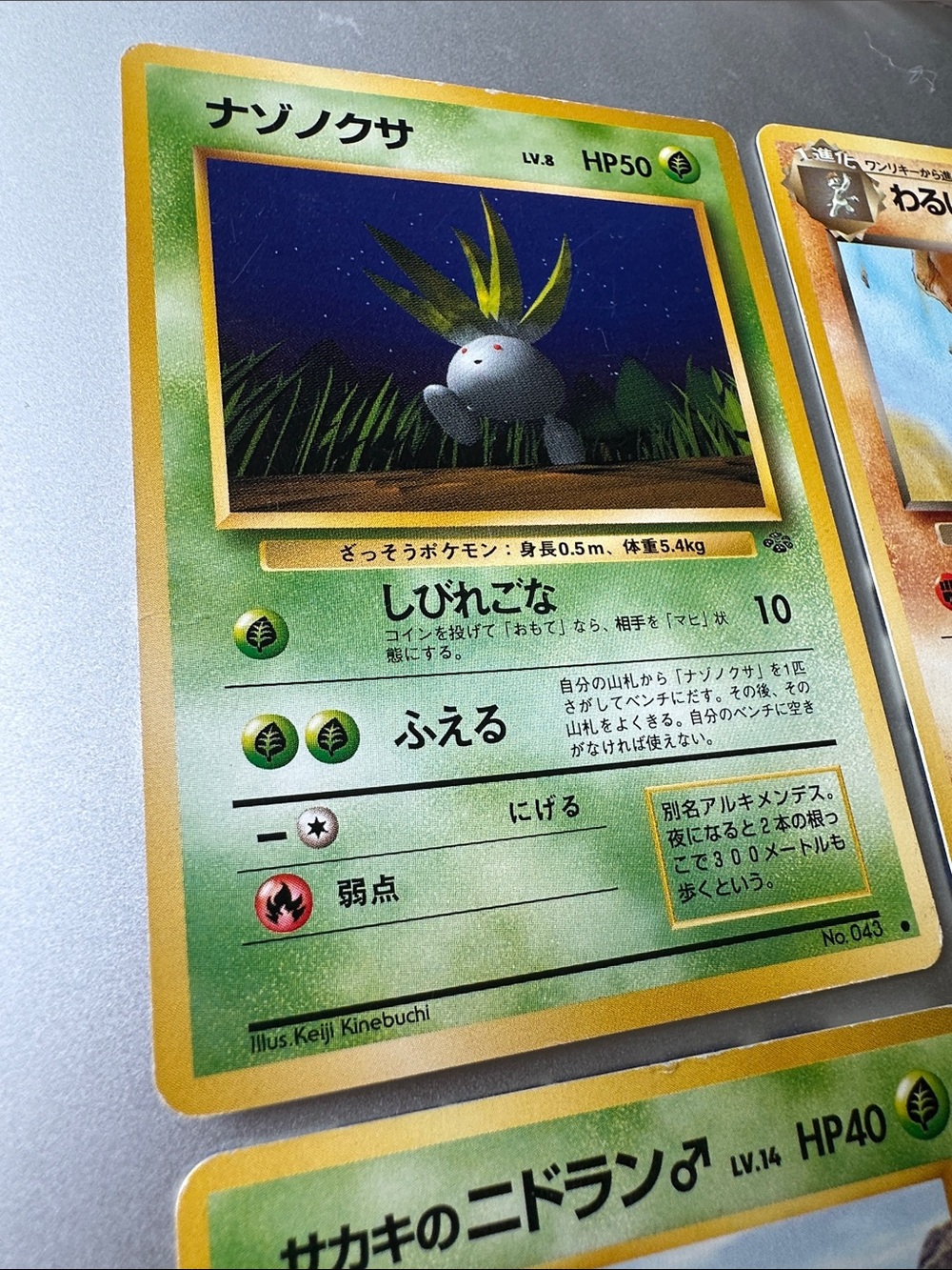 Japanese Pokémon Cards (Oddish,Machoke,Spearow,Nidoran,Poliwag,Dodrio,Sandslash) - Picture 7 of 16